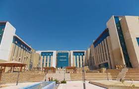 مصاريف جامعة المنصورة الأهلية 2023-2024
